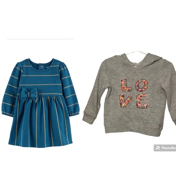 Carter Baby Glitter Fleece Dress size 18 months and a LOVE sweatshirt - Picture 1 of 14